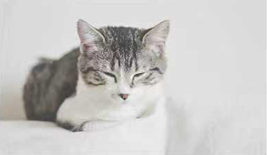 创办人介绍配图